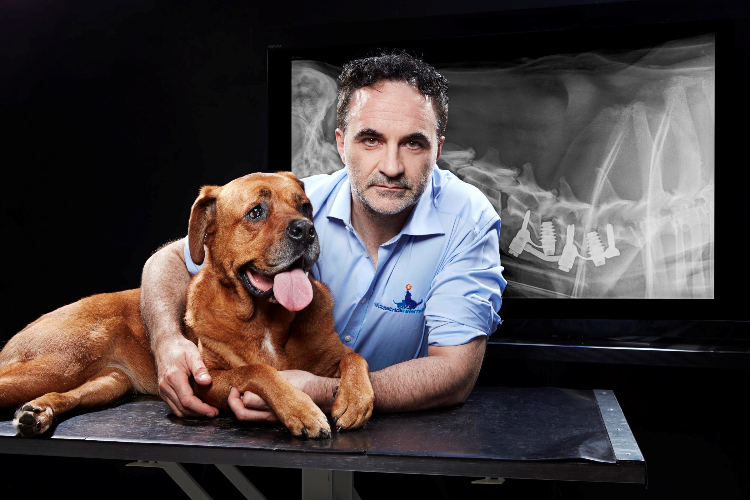 Professor Noel Fitzpatrick and rescue dog Lulu stand before an Xray