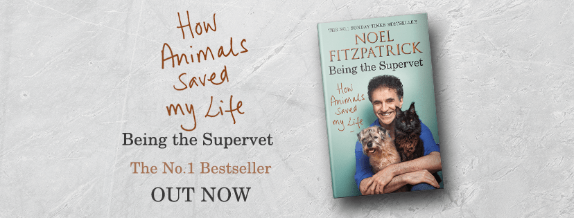 Facebook banner_OUT NOW_How Animals - Professor Noel Fitzpatrick Facebook banner_OUT NOW_How Animals - Professor Noel Fitzpatrick
